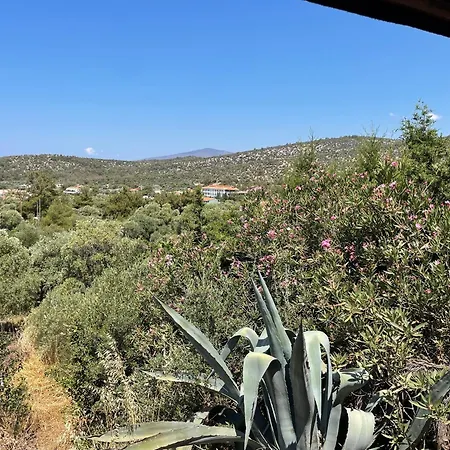 Ktima Anna Apartamento Astris