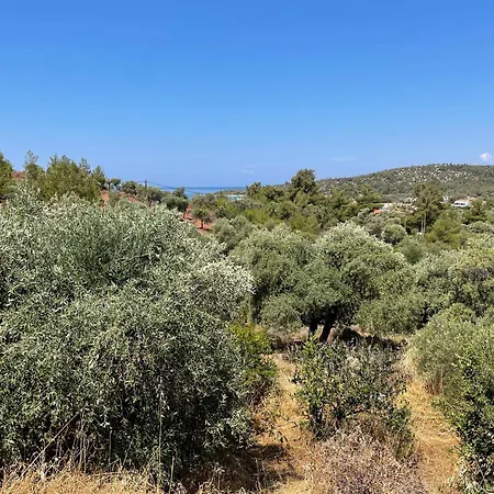 Ktima Anna Apartamento Astris