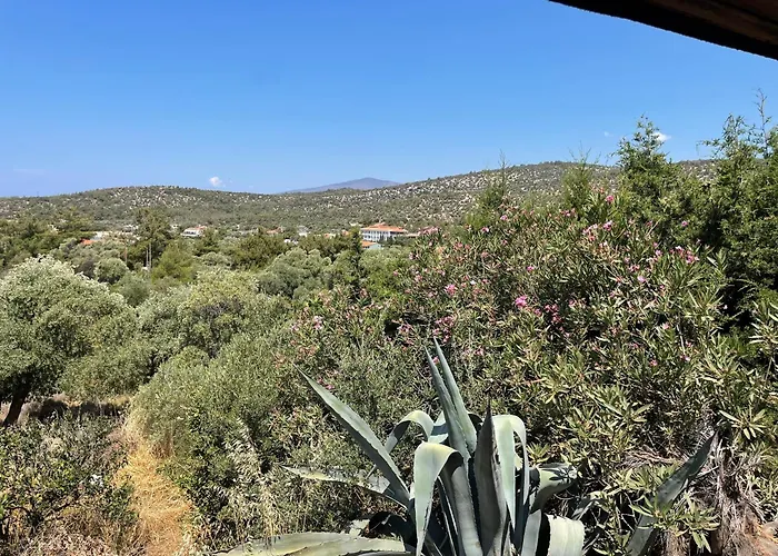 Ktima Anna Appartement Astris