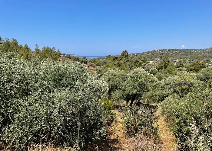 Ktima Anna Appartement Astris